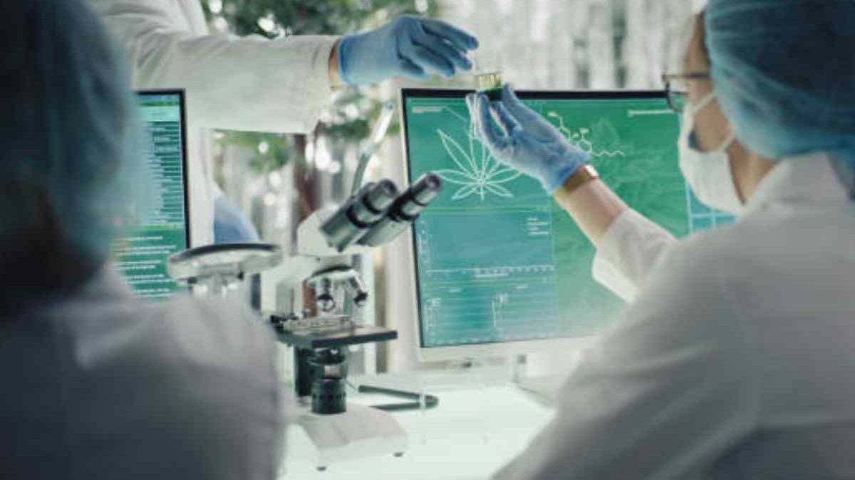 3 Technologies Used for Cannabidiol Extraction