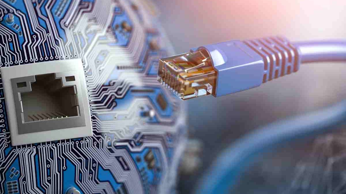 What is a LAN (Local Area Network) – Definition and Uses