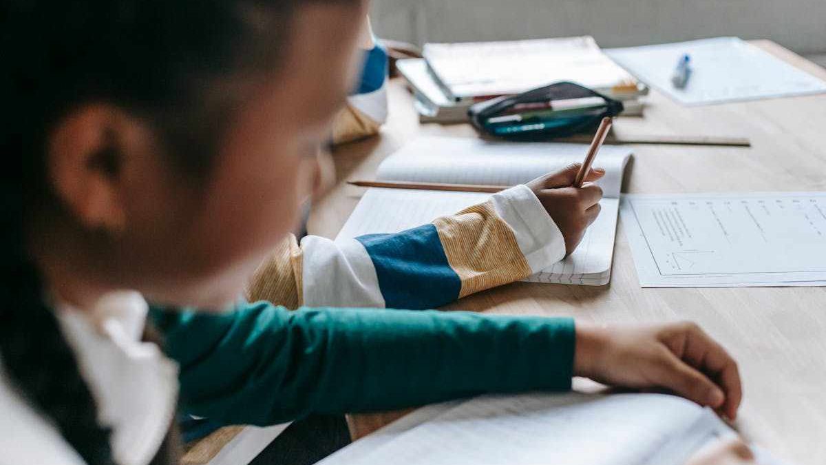 IBPS RRB Hindi Mock Tests for Clerk Exam Preparation