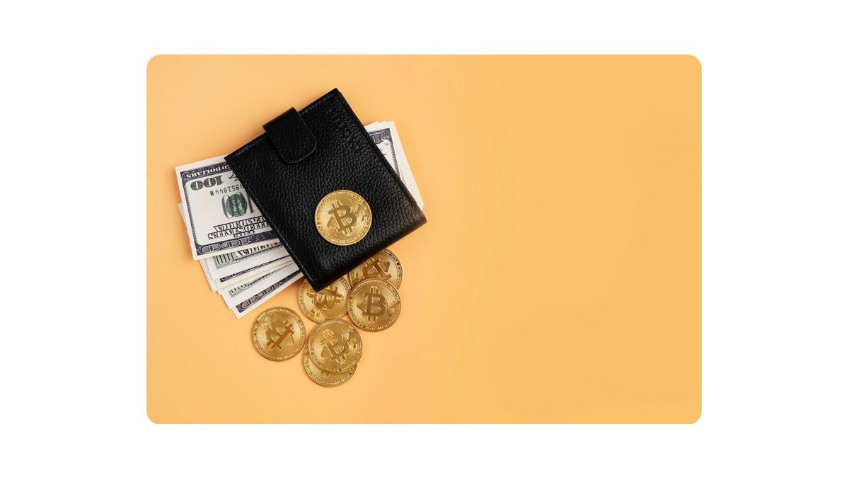 Your Complete Guide to Cryptocurrency Wallets