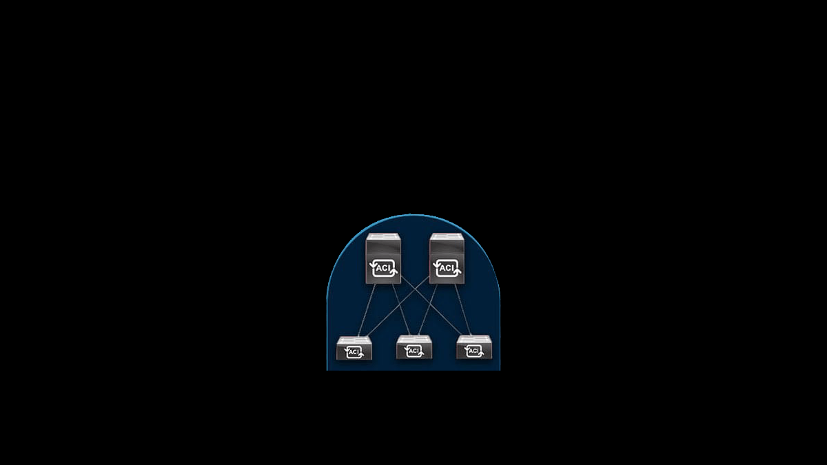 What is an ACI? – Definition, Differences, and More